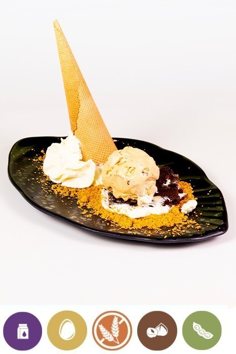 CHUNKY JIJONA NOUGAT ICE CREAM