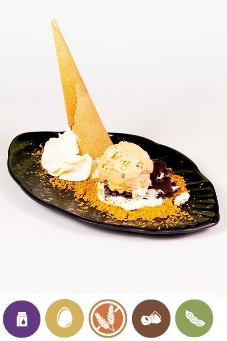 CHUNKY JIJONA NOUGAT ICE CREAM