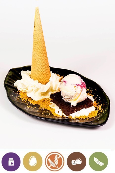 CHEESE AND BLUEBERRY ICE CREAM